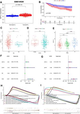 NAP1L1 Functions as a Novel Prognostic Biomarker Associated With Macrophages and Promotes Tumor Progression by Influencing the Wnt/β-Catenin Pathway in Hepatocellular Carcinoma